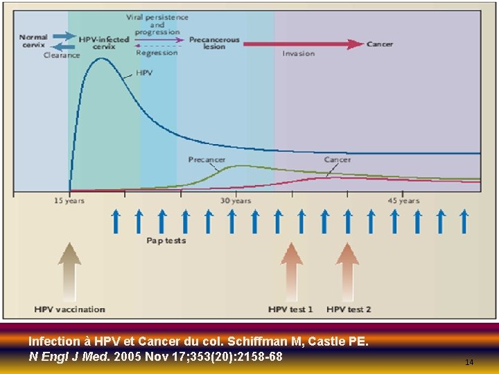Infection à HPV et Cancer du col. Schiffman M, Castle PE. N Engl J
