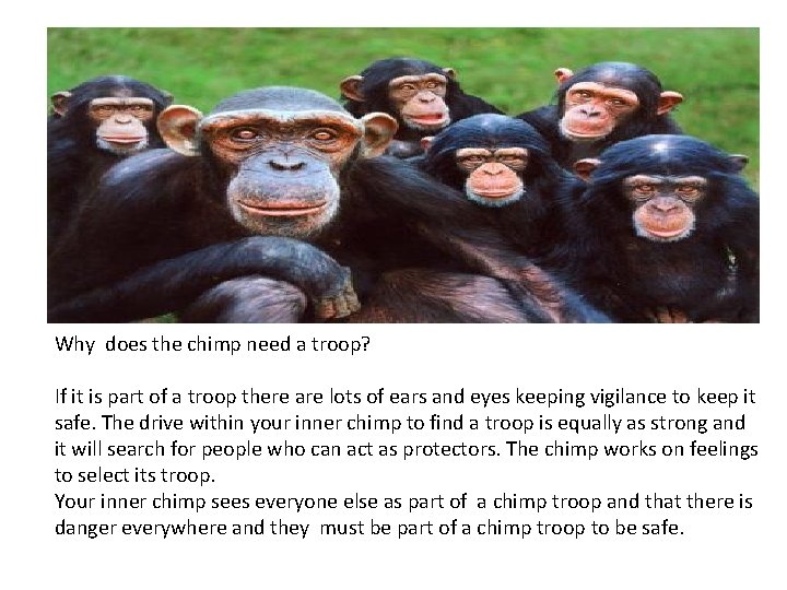 Why does the chimp need a troop? If it is part of a troop