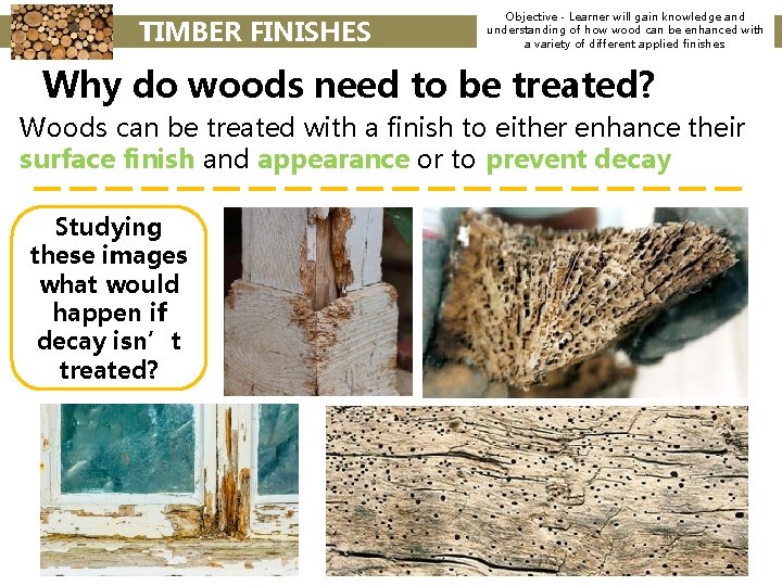 TIMBER FINISHES Objective - Learner will gain knowledge and understanding of how wood can