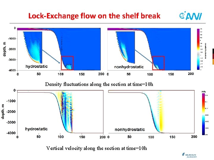 Lock-Exchange flow on the shelf break Density fluctuations along the section at time=10 h