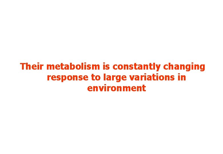 Their metabolism is constantly changing response to large variations in environment Their metabolism is constantly changing response to large variations in environment