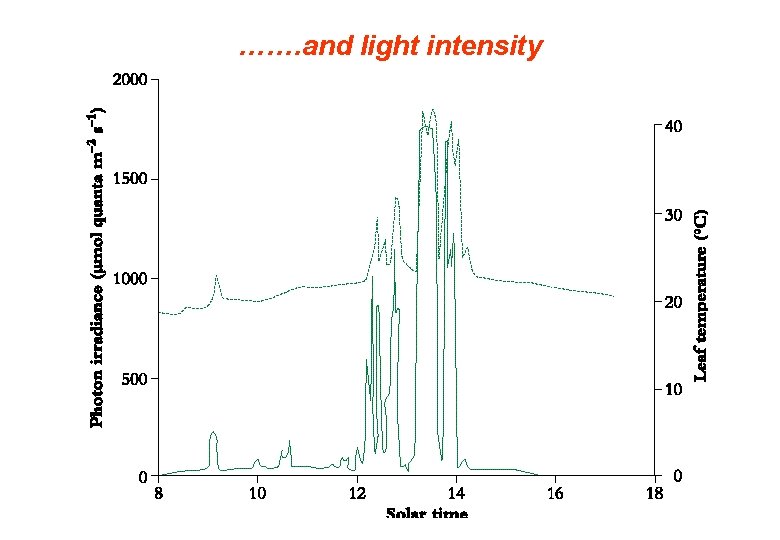 ……. and light intensity ……. and light intensity