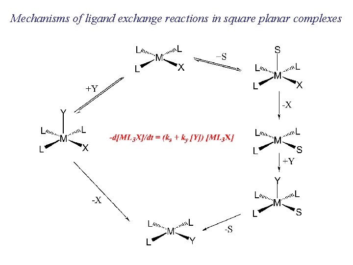 Mechanisms of ligand exchange reactions in square planar complexes 