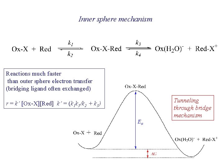 Inner sphere mechanism Reactions much faster than outer sphere electron transfer (bridging ligand often