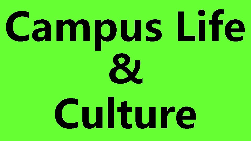 Campus Life & Culture 