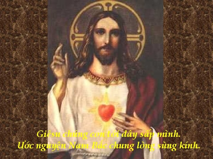 Giêsu chúng con tới đây sấp mình. Ước nguyện Nam Bắc chung lòng sùng