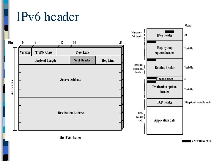 IPv 6 header 
