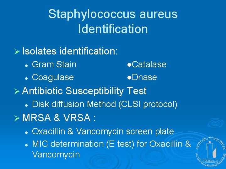 Staphylococcus aureus Identification Ø Isolates identification: l l Gram Stain Coagulase ●Catalase ●Dnase Ø