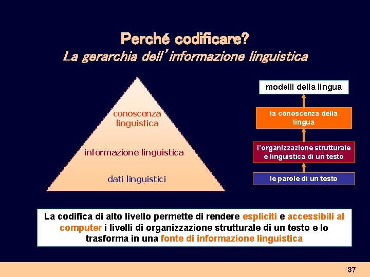 Perché codificare? La gerarchia dell’informazione linguistica modelli della lingua conoscenza linguistica informazione linguistica dati