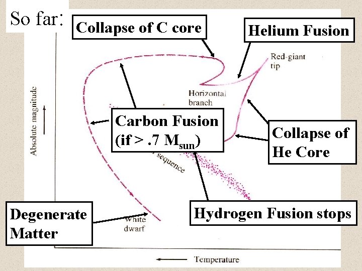 So far: Collapse of C core Carbon Fusion (if >. 7 Msun) Degenerate Matter