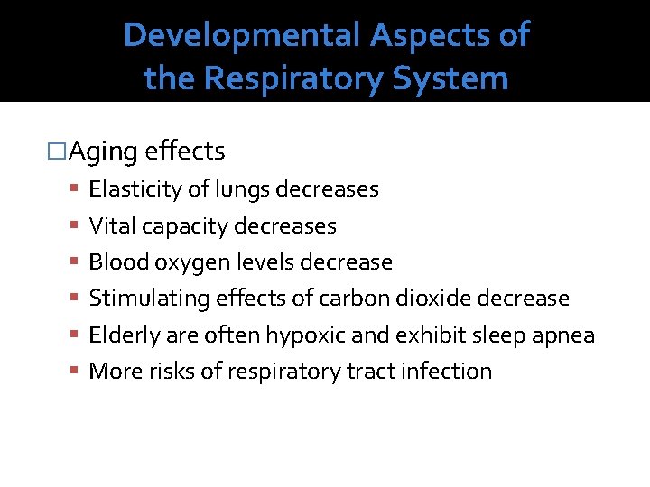 Developmental Aspects of the Respiratory System �Aging effects Elasticity of lungs decreases Vital capacity