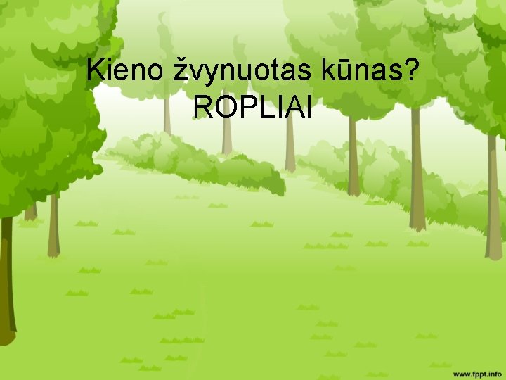 Kieno žvynuotas kūnas? ROPLIAI 