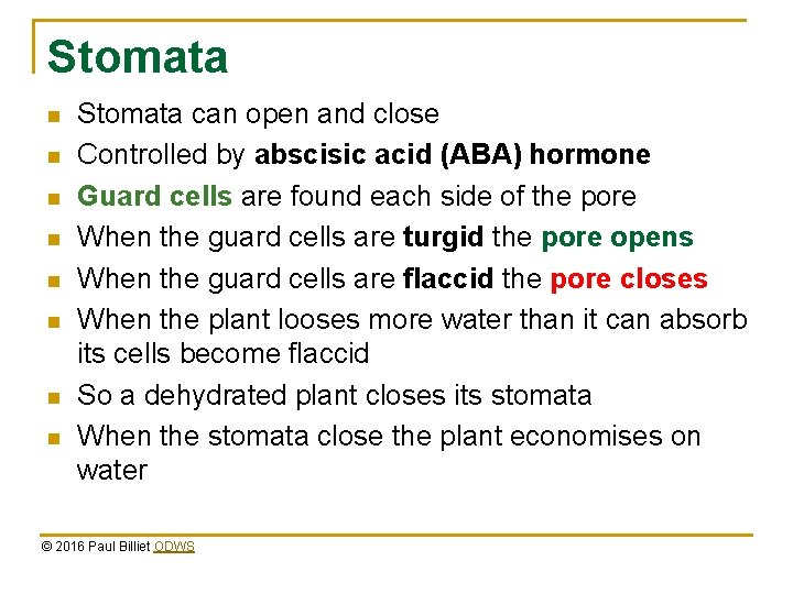 Stomata n n n n Stomata can open and close Controlled by abscisic acid Stomata n n n n Stomata can open and close Controlled by abscisic acid