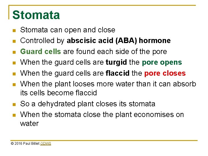 Stomata n n n n Stomata can open and close Controlled by abscisic acid