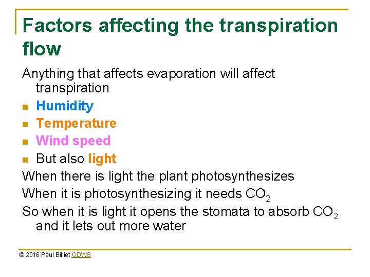 Factors affecting the transpiration flow Anything that affects evaporation will affect transpiration n Humidity