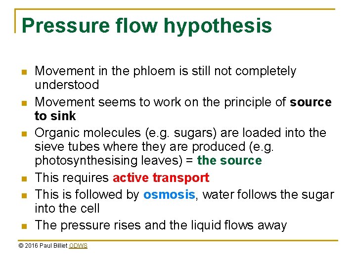 Pressure flow hypothesis n n n Movement in the phloem is still not completely Pressure flow hypothesis n n n Movement in the phloem is still not completely
