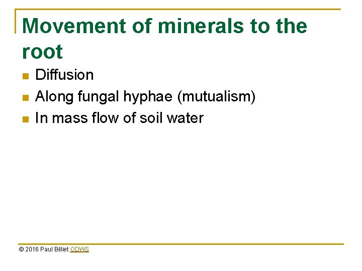 Movement of minerals to the root n n n Diffusion Along fungal hyphae (mutualism)