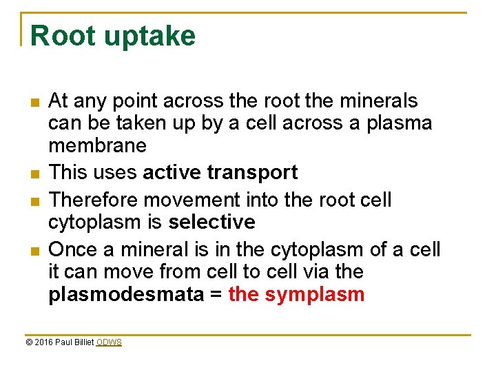 Root uptake n n At any point across the root the minerals can be