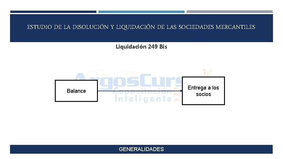 ESTUDIO DE LA DISOLUCIÓN Y LIQUIDACIÓN DE LAS SOCIEDADES MERCANTILES Liquidación 249 Bis Entrega