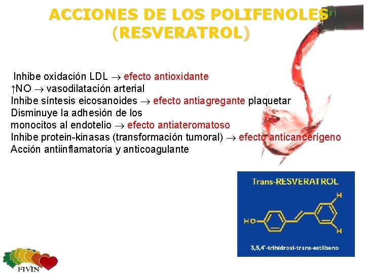 ACCIONES DE LOS POLIFENOLES (RESVERATROL) Inhibe oxidación LDL efecto antioxidante ↑NO vasodilatación arterial Inhibe