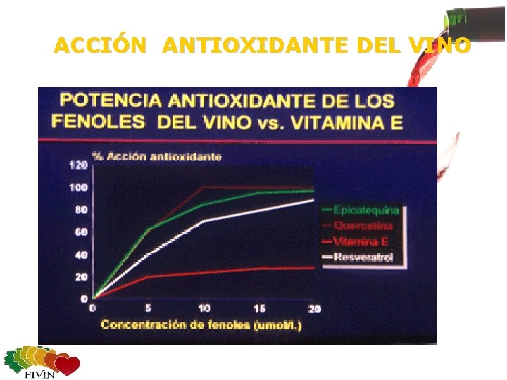 ACCIÓN ANTIOXIDANTE DEL VINO 