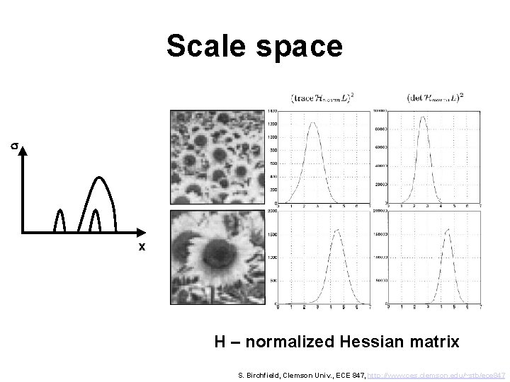 Scale space s x H – normalized Hessian matrix S. Birchfield, Clemson Univ. ,