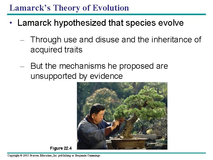 Lamarck’s Theory of Evolution • Lamarck hypothesized that species evolve – Through use and