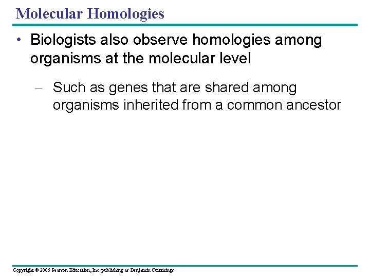 Molecular Homologies • Biologists also observe homologies among organisms at the molecular level –