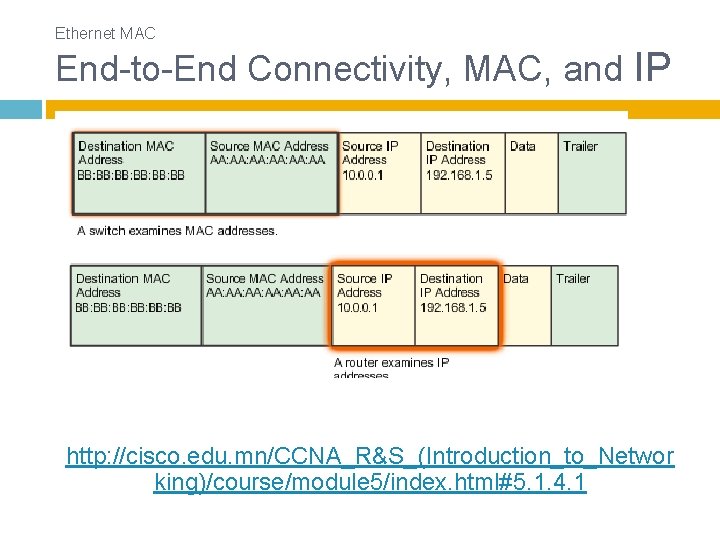 Ethernet MAC End-to-End Connectivity, MAC, and IP http: //cisco. edu. mn/CCNA_R&S_(Introduction_to_Networ king)/course/module 5/index. html#5.