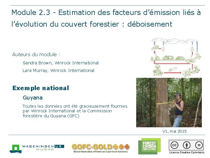 Module 2. 3 - Estimation des facteurs d’émission liés à l’évolution du couvert forestier