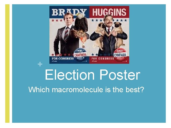 + Election Poster Which macromolecule is the best? 