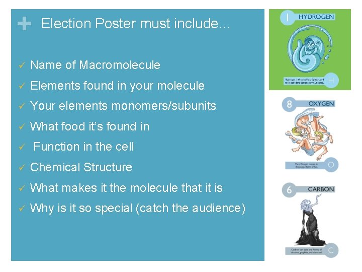 + Election Poster must include… ü Name of Macromolecule ü Elements found in your