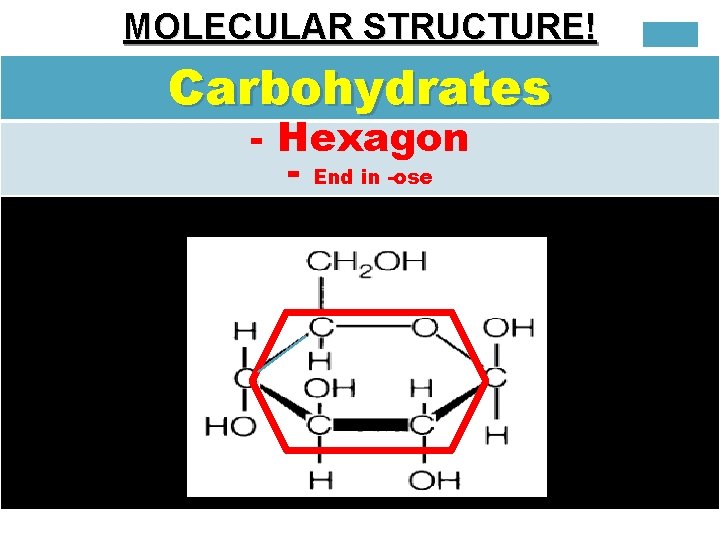MOLECULAR STRUCTURE! Carbohydrates - Hexagon - End in -ose p. 45 in Text 