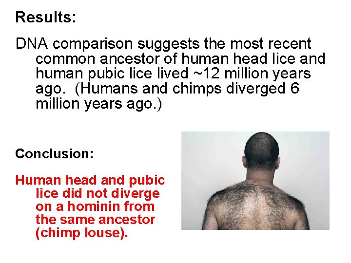 Results: DNA comparison suggests the most recent common ancestor of human head lice and