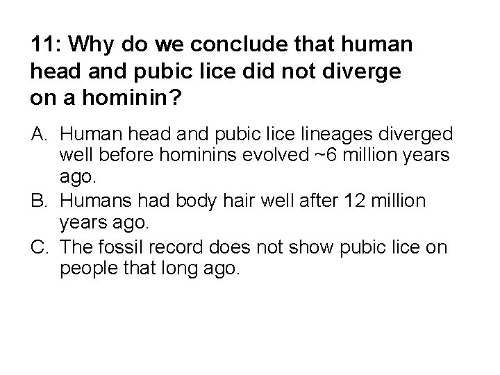 11: Why do we conclude that human head and pubic lice did not diverge