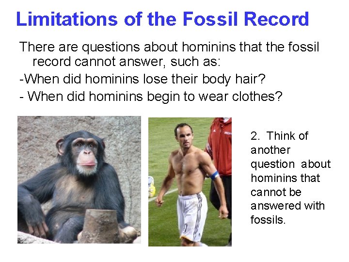 Limitations of the Fossil Record There are questions about hominins that the fossil record