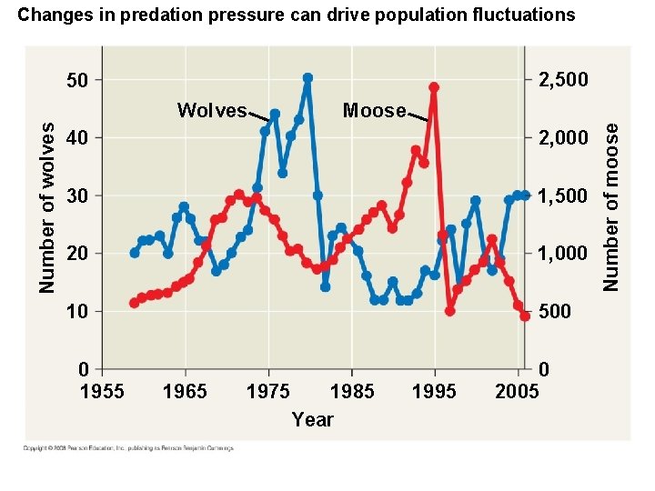 Changes in predation pressure can drive population fluctuations 2, 500 50 Moose 40 2,