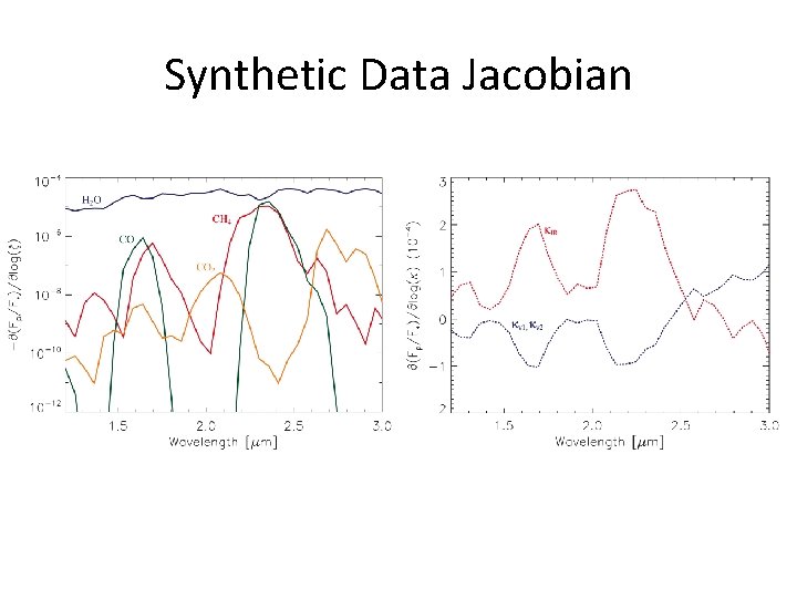 Synthetic Data Jacobian 