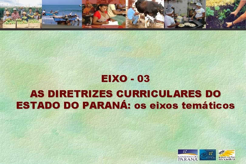 EIXO - 03 AS DIRETRIZES CURRICULARES DO ESTADO DO PARANÁ: os eixos temáticos 