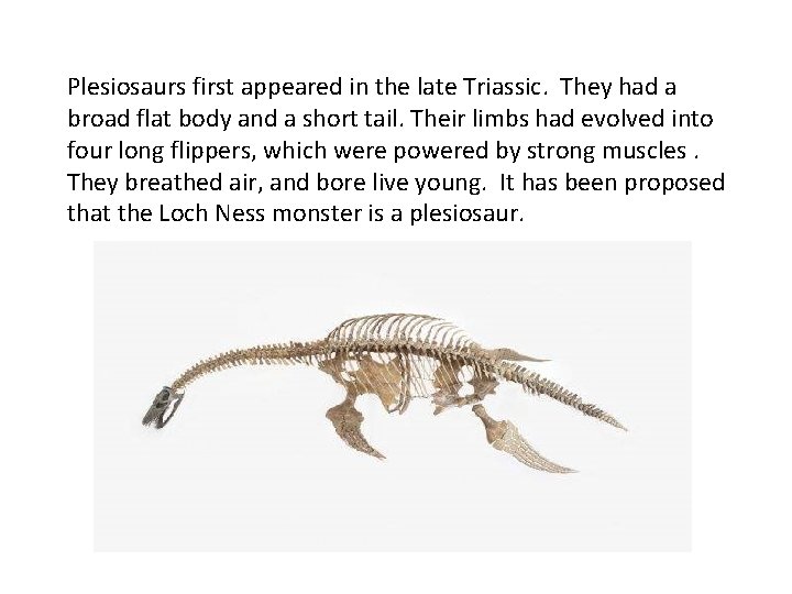 Plesiosaurs first appeared in the late Triassic. They had a broad flat body and