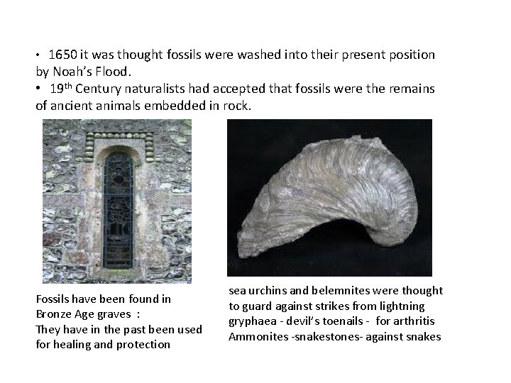  • 1650 it was thought fossils were washed into their present position by