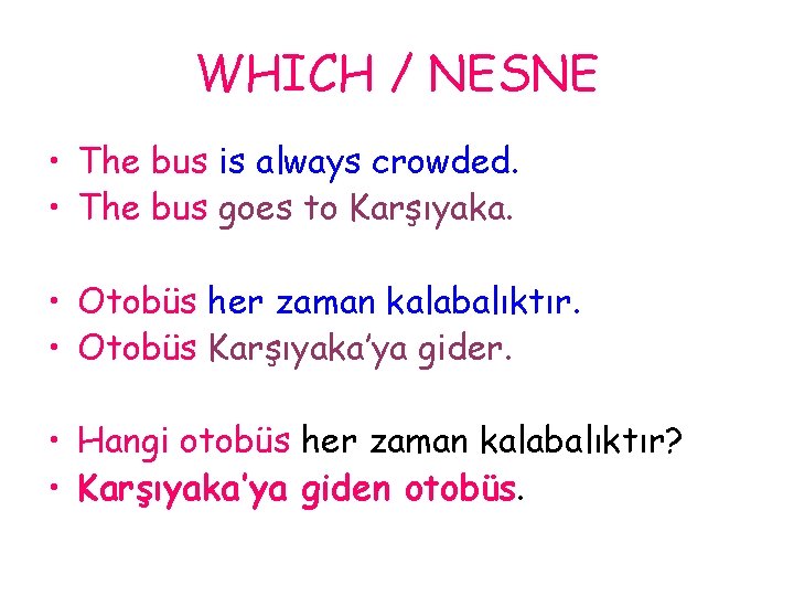 WHICH / NESNE • The bus is always crowded. • The bus goes to