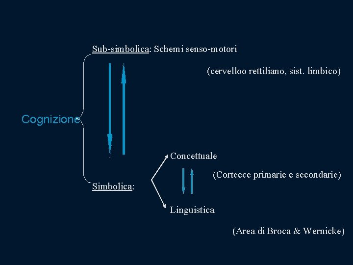Sub-simbolica: Schemi senso-motori (cervelloo rettiliano, sist. limbico) Cognizione Concettuale (Cortecce primarie e secondarie) Simbolica: Sub-simbolica: Schemi senso-motori (cervelloo rettiliano, sist. limbico) Cognizione Concettuale (Cortecce primarie e secondarie) Simbolica: