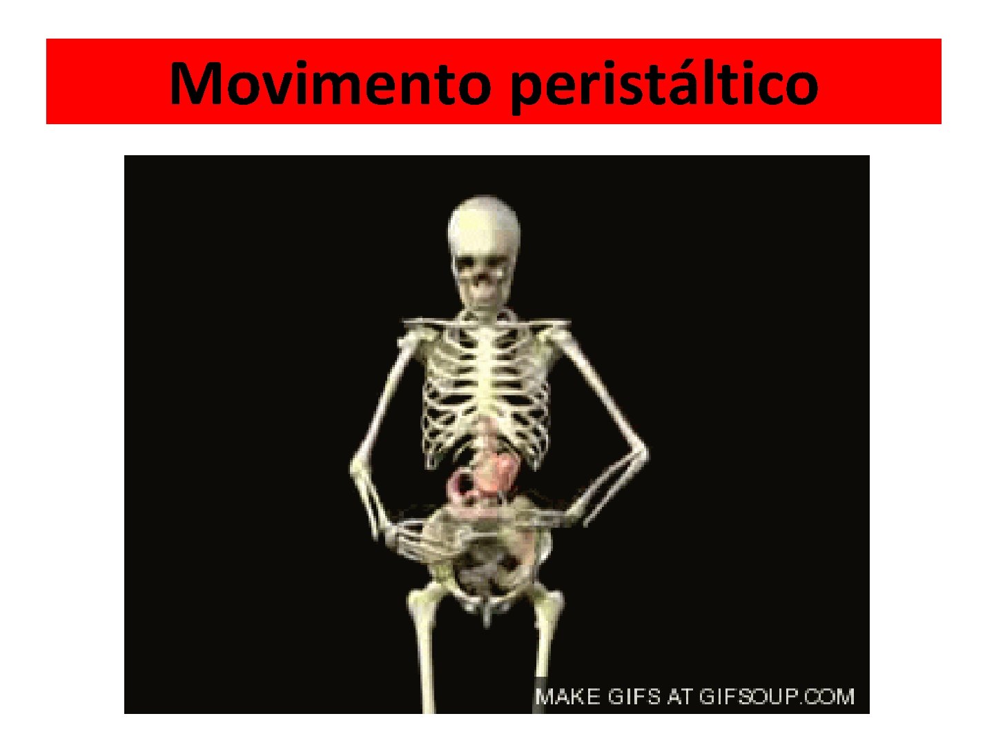 Movimento peristáltico 