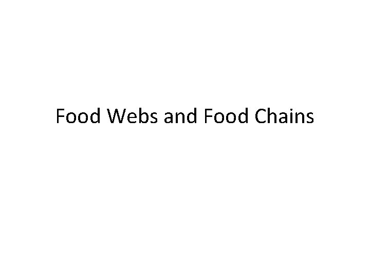 Food Webs and Food Chains 