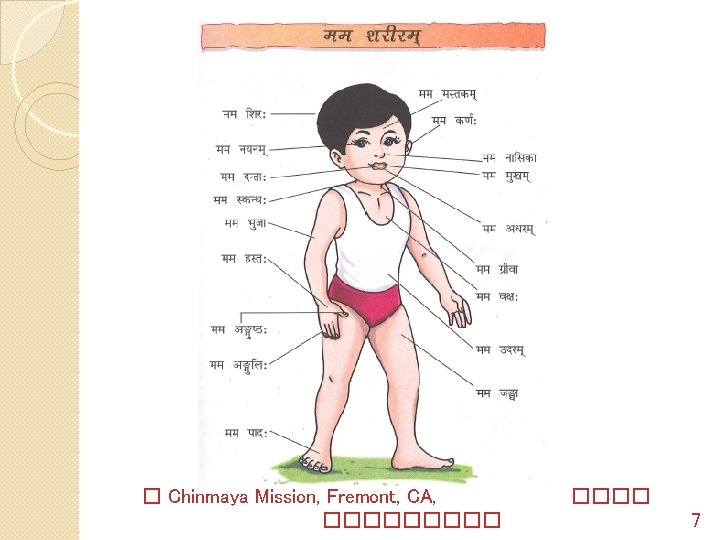 � Chinmaya Mission, Fremont, CA, ����� 7 
