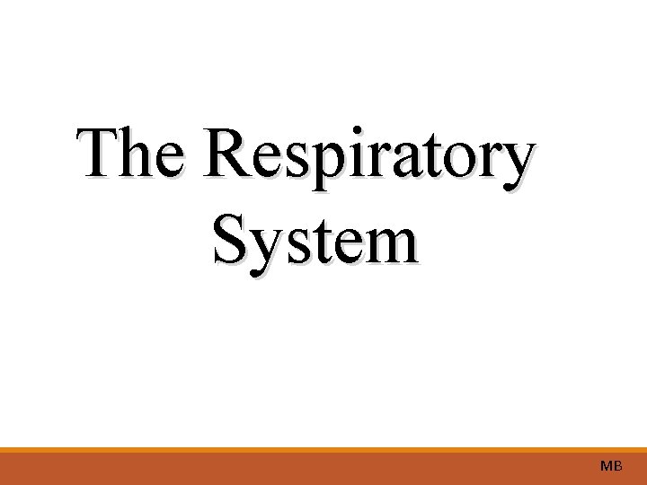 The Respiratory System MB 