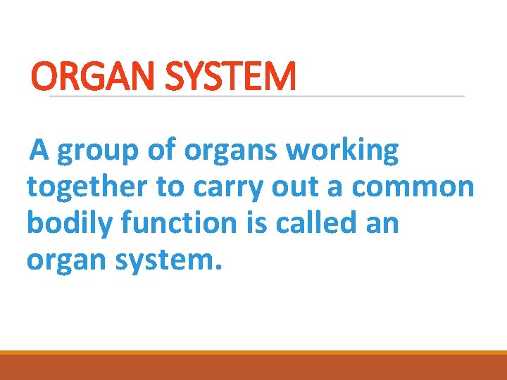 ORGAN SYSTEM A group of organs working together to carry out a common bodily