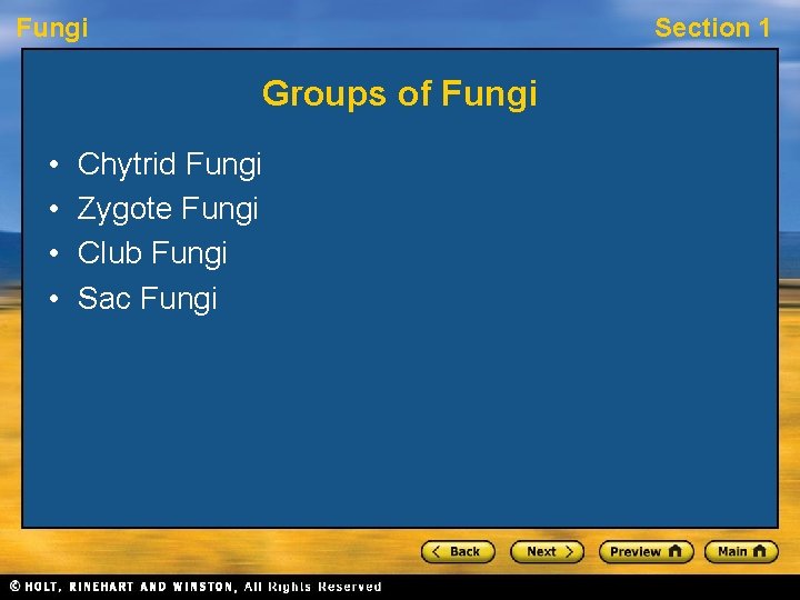 Fungi Section 1 Groups of Fungi • • Chytrid Fungi Zygote Fungi Club Fungi