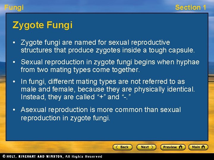 Fungi Section 1 Zygote Fungi • Zygote fungi are named for sexual reproductive structures